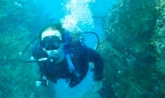 Diving Trips On 29ft "La Maria" Center Consle In Gaira, Colombia