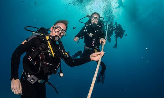 Scuba Diving In Las Palmas de Gran Canaria