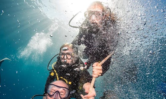 Scuba Diving In Las Palmas de Gran Canaria