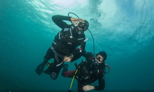 Scuba Diving In Las Palmas de Gran Canaria