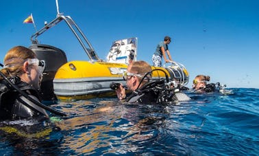 Plongée sous-marine à Las Palmas de Gran Canaria