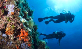 Diving Trips in Manacor, Spain