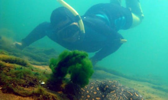 Snorkeling in Ilha Solteira