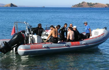 Diving Trips in Lesvos, Greece