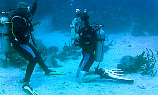 Scuba Diving In Bon Accord