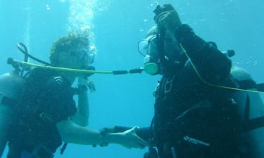 Scuba Diving In Bon Accord