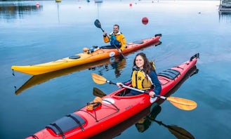 Kayaking Rental and Trips in Chester