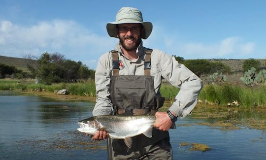 Quality still water fly fishing