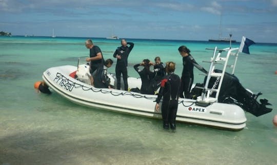 Mergulho divertido - Encontro mágico em Rangiroa