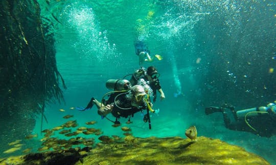 Diving on the Great Mesoamerican Reef