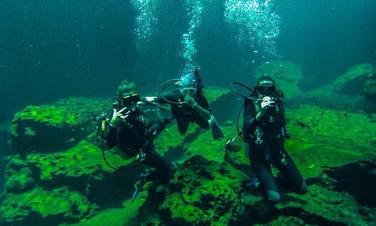 Diving on the Great Mesoamerican Reef