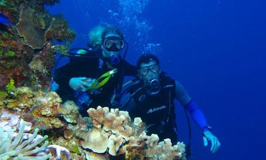 Diving Excursion In Guadeloupe