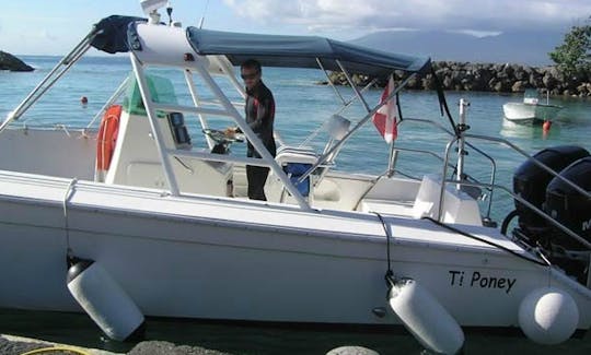 Diving Excursion In Guadeloupe