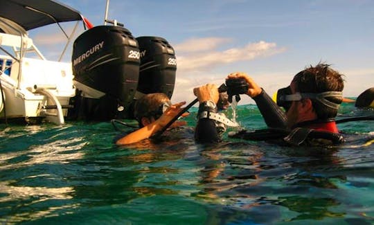 Diving Excursion In Guadeloupe