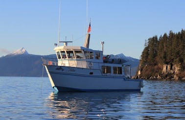 50' Trawler Charter in Whittier, Alaska