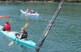 Kayak Rental & Trips in Whittier, Alaska
