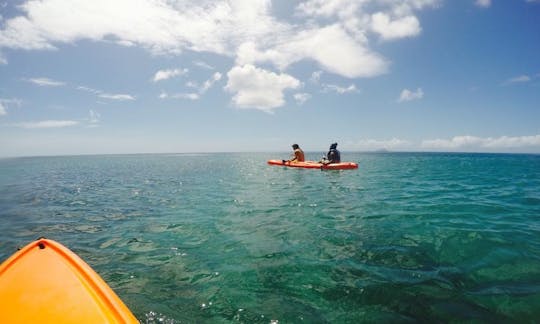 Rema en kayak por la bahía de Rendesvouz en Little Bay, parroquia de Saint Peter