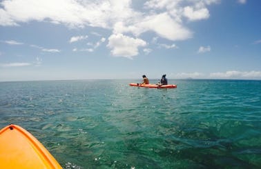 Paddle a Kayak around the Rendesvouz Bay in Little Bay, Saint Peter Parish