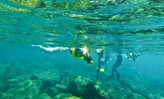 Aventuras de mergulho com snorkel em Weekes