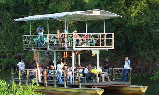 Swamp Tour in the Pantanal do Mato Grosso do Sul