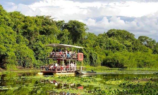 Swamp Tour in the Pantanal do Mato Grosso do Sul