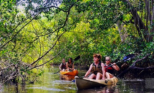 Wildlife Kayak Tour In Tela