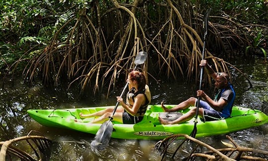 Wildlife Kayak Tour In Tela, Honduras