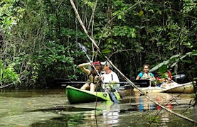 Wildlife Kayak Tour In Tela