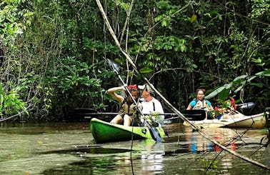Wildlife Kayak Tour In Tela, Honduras