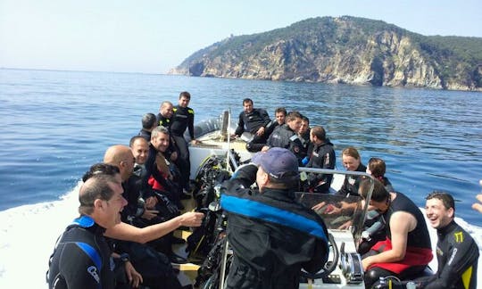 Learn to Dive and See the Colourful Marine Life in Llafranc Ocean