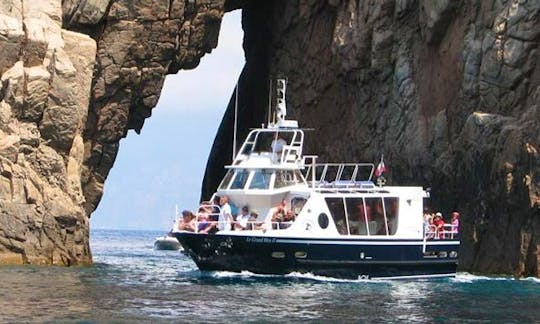 Wildlife Boat Tours aboard the 49 Person Motor Yacht in Cargese, France