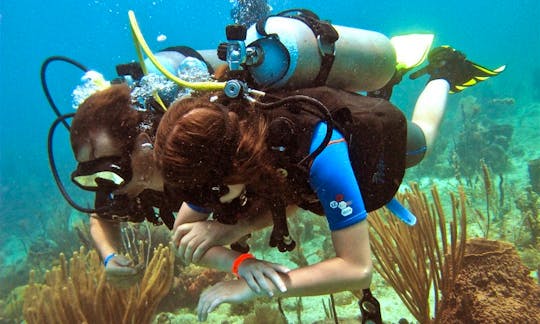 Dive With Us in Punta Cana, Dominican Republic!