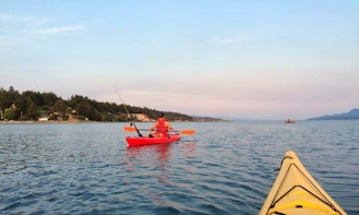 Single Kayak Rental in Powell River, BC