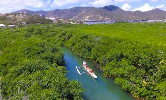 Mangrove Paddle Tour In Grand-Case