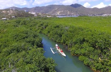 Mangrove Paddle Tour In Grand-Case