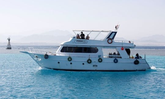 FREEDOM I Daily Boat in South Sinai