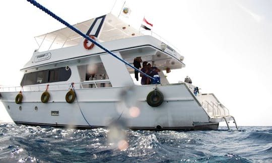 FREEDOM I Daily Boat in South Sinai