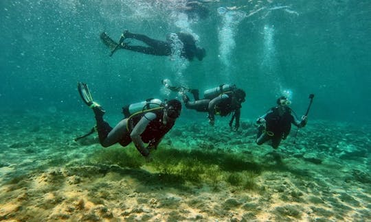 Découvrez la plongée sous-marine à Moschato