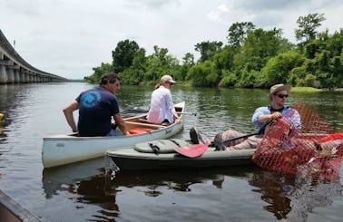 Canoe or Kayak Swamp Tour on Manchac Wetlands in Louisiana