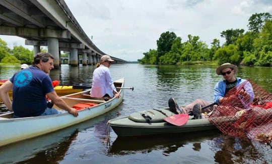 Canoe or Kayak Swamp Tour on Manchac Wetlands in Louisiana