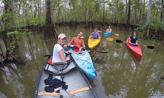 Single Kayak Swamp Tour in Manchac Wetlands
