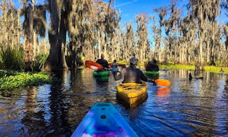 Single Kayak Swamp Tour in Manchac Wetlands