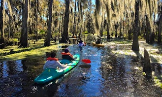 Fun 2 Hour Kayak Swamp Tour in Manchac Wetlands