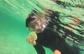 Scuba Diving In Mangrove Cay