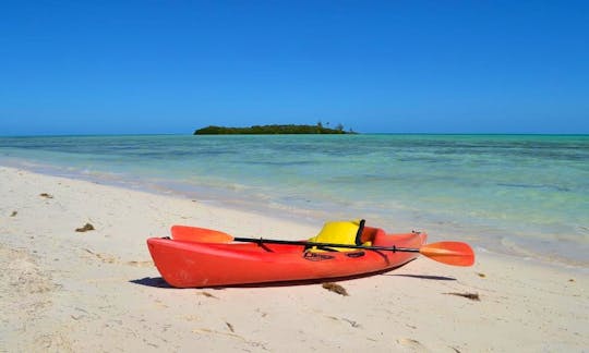 Guided Kayak And Snorkeling Tour In Mangrove Cay