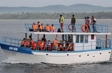 Whale and Dolphin Watching Tour in Mirissa, Sri Lanka