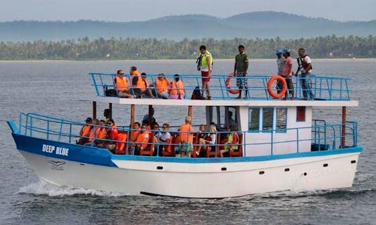 Whale and Dolphin Watching Tour in Mirissa, Sri Lanka