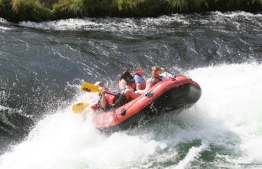 Whitewater Rafting Adventure on Deschutes River, Maupin