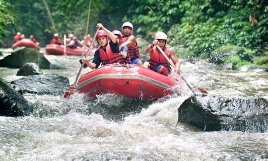 Explore Ubud, Bali, em um emocionante passeio de rafting!