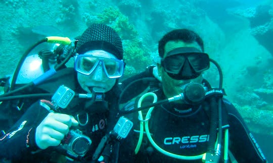 Diving in Marsa Alam